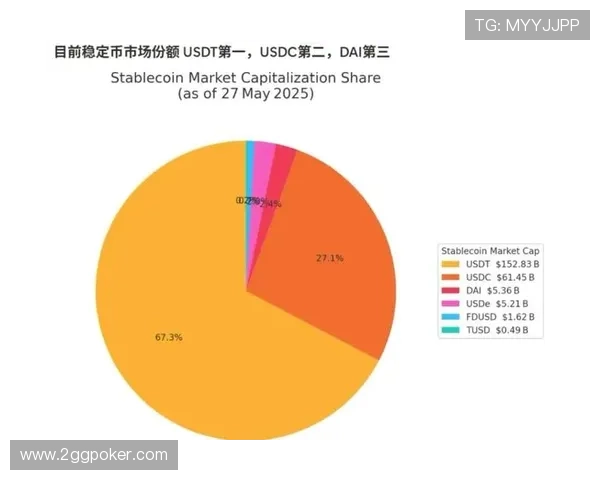 深入解析USDT币圈：投资机会与风险分析